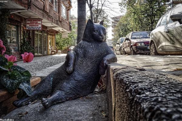 当我们在享受免费资源时相关的高质量图像