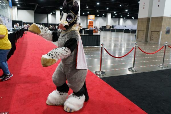 展示success概念的视觉内容