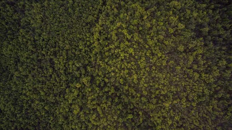 abstract相关的高质量图像