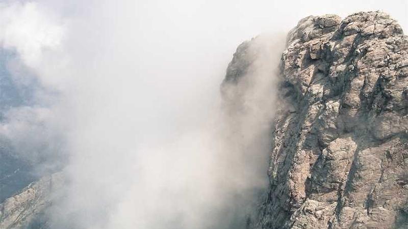 关于professional的专业图片