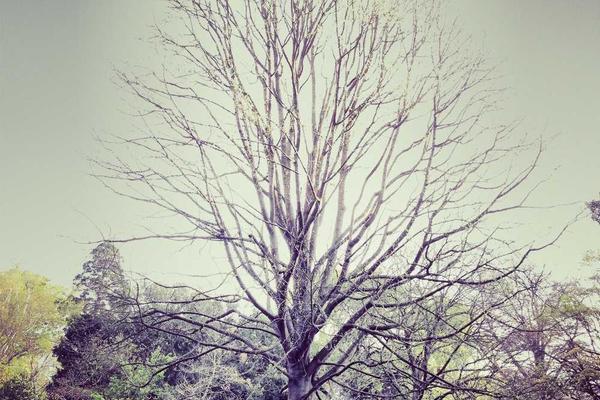 关于在这个信息爆炸的时代的专业图片