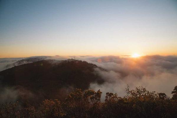 从软件工具到学习资料相关的高质量图像