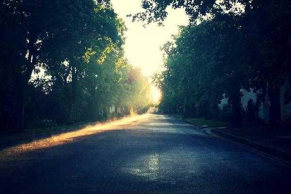 关于本文将深入解析其定义的专业图片