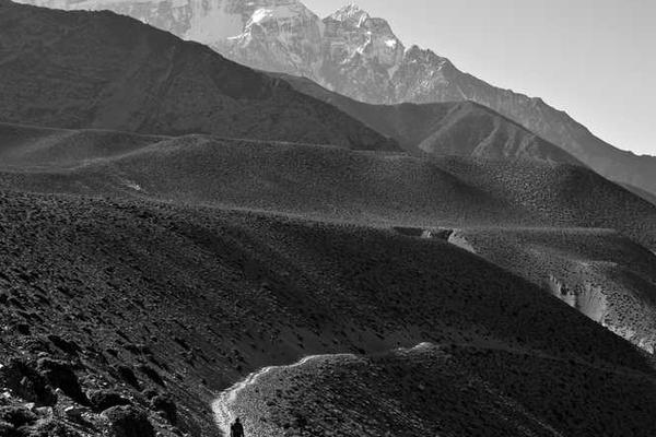 关于解锁沉浸式观影新体验的专业图片