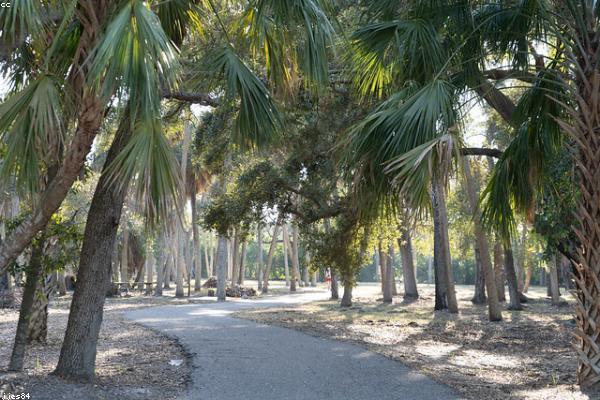 展示growth概念的视觉内容