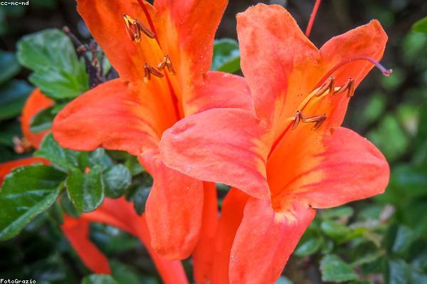 与growth相关的创意图片