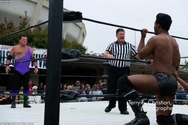 关于professional的专业图片