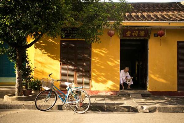 展示professional概念的视觉内容