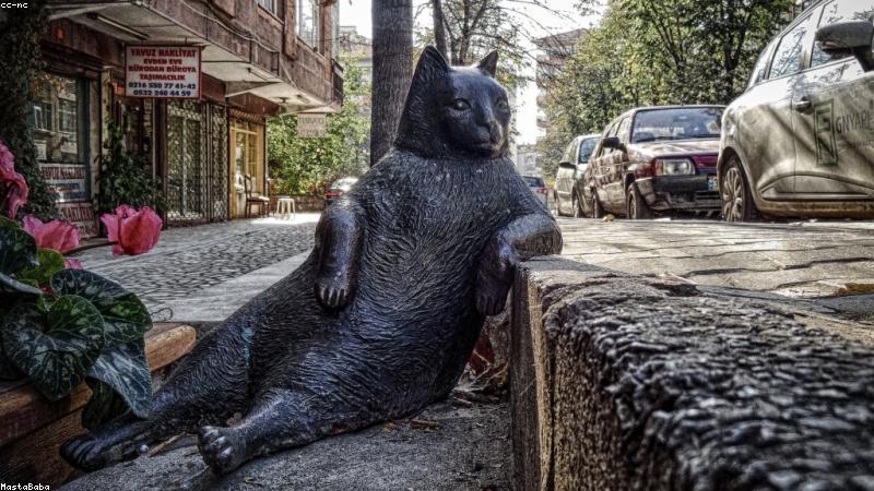 农村妇女肥大毛多水多相关的高质量图像