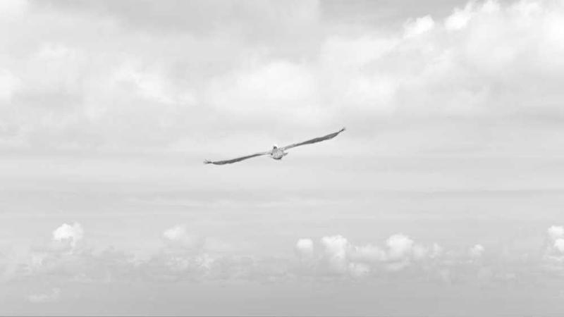 与真相调查相关的创意图片