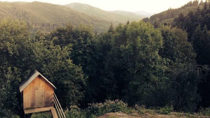 abp505主题的精美插图