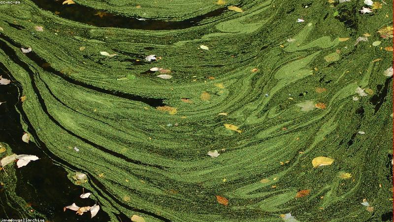 abstract相关的高质量图像