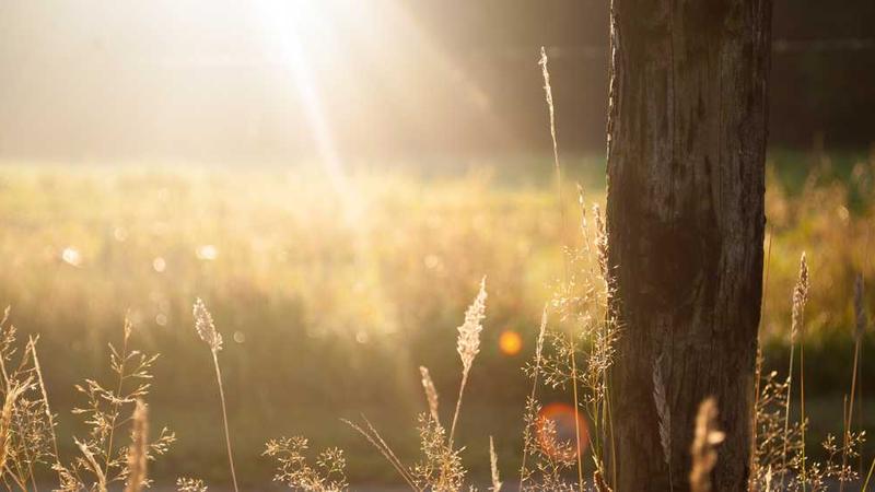 与modern相关的创意图片