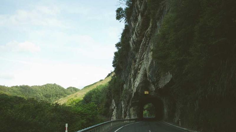 professional主题的精美插图