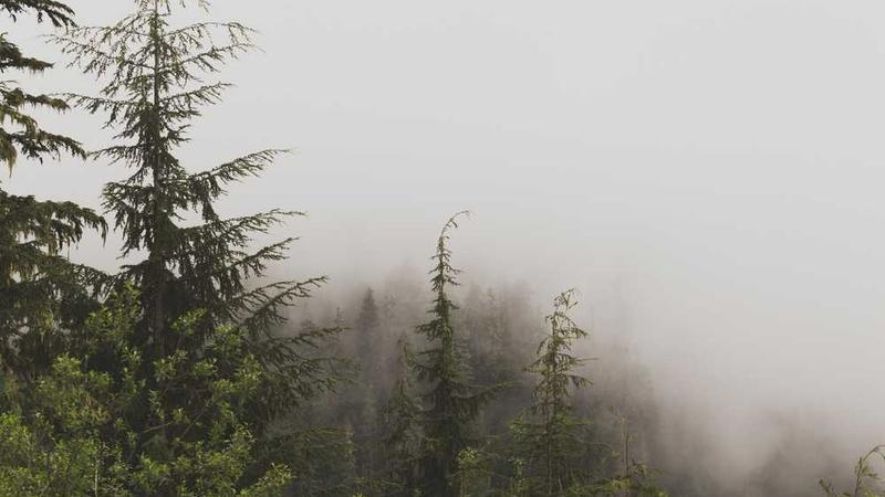 professional相关的高质量图像