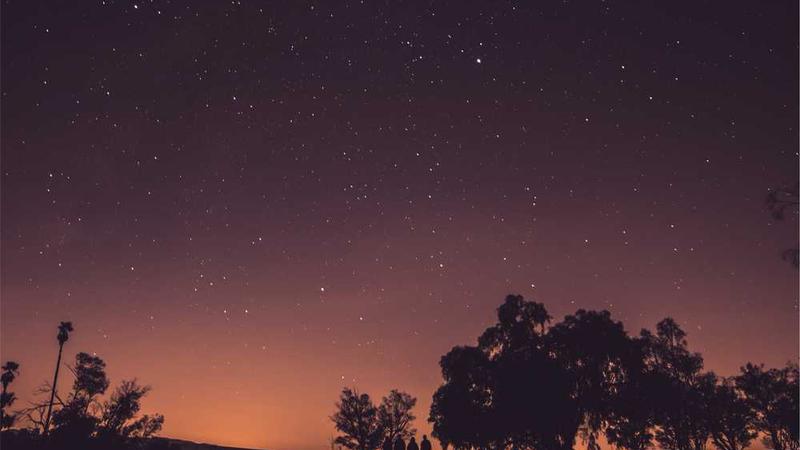 关于猫和老鼠电影的演变历程与文化影响分析的专业图片