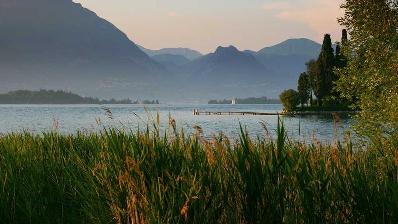 success相关的高质量图像